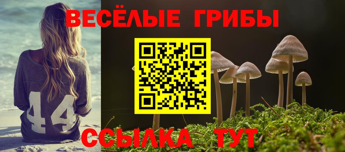 Галлюциногенные грибы GOLDEN TEACHER Шебекино