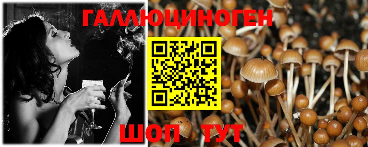 Галлюциногенные грибы Psilocybine cubensis  Вход с VPN  Шебекино 